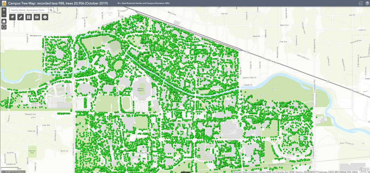 facilitiesmsu's tweet photo. 🌳🔗 https://t.co/FbA7Ybo3sf https://t.co/oHgQnZaXlP