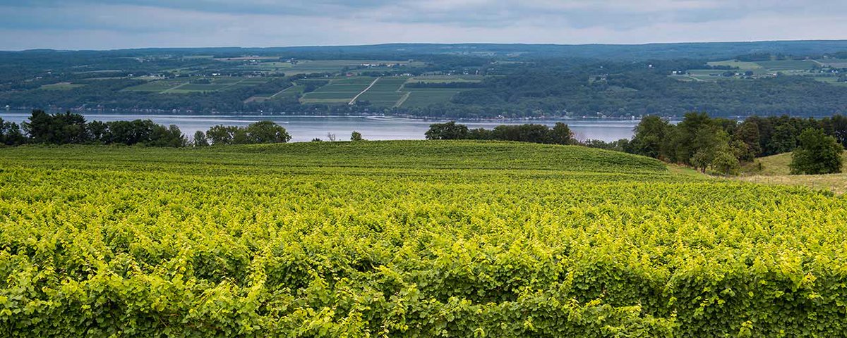 EmpireStateDev's tweet image. As we commemorate #EarthDay2020, we continue to work towards the cleaner, greener energy future #NYS is committed to by investing in:

☀️renewable energy solutions such as solar, wind &amp;amp; geothermal
🔋increased energy storage capacity 
🌱#cleantech workforce development training