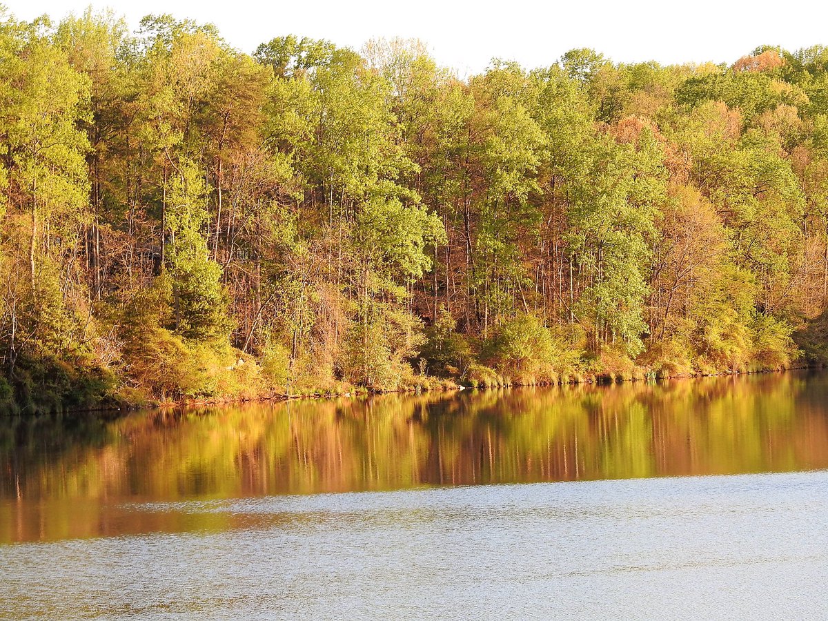 DianeWillen's tweet photo. Happy Earth Day!! #FairfaxCounty #EarthDay #royallake
@fairfaxparks https://t.co/ryOEhKfmPH