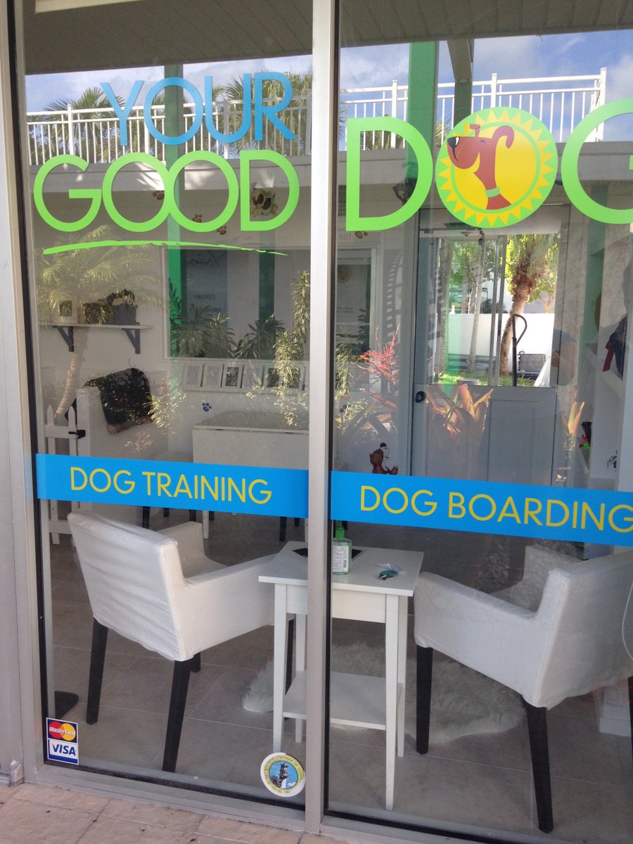 YourGoodDogBlog's tweet image. Welcome to our Dog Family yourgooddog.wordpress.com/2020/04/22/wel…