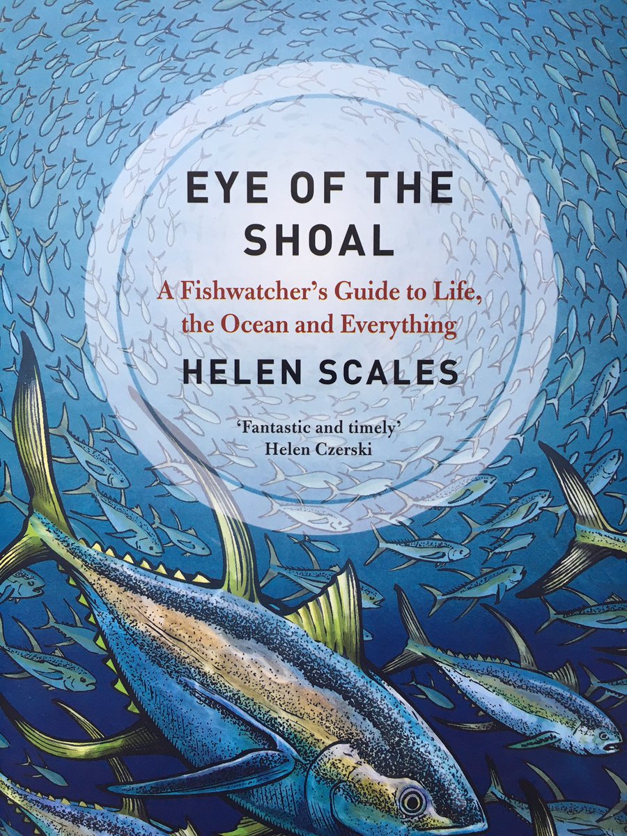 ‘Eye of the Shoal’ by  @helenscales A perfect read for anyone who is fascinated by marine life & wants to learn more about the incredible variety of fishes that inhabit our oceans. Full of amazing fish facts & stories from the author’s own research & experiences.