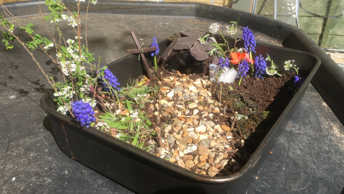 FoxFox091011's tweet photo. @SidleshamSchool very late to the twitter scene but here is Williams Easter garden @MrsCYear6teach https://t.co/wht4s1gCDf