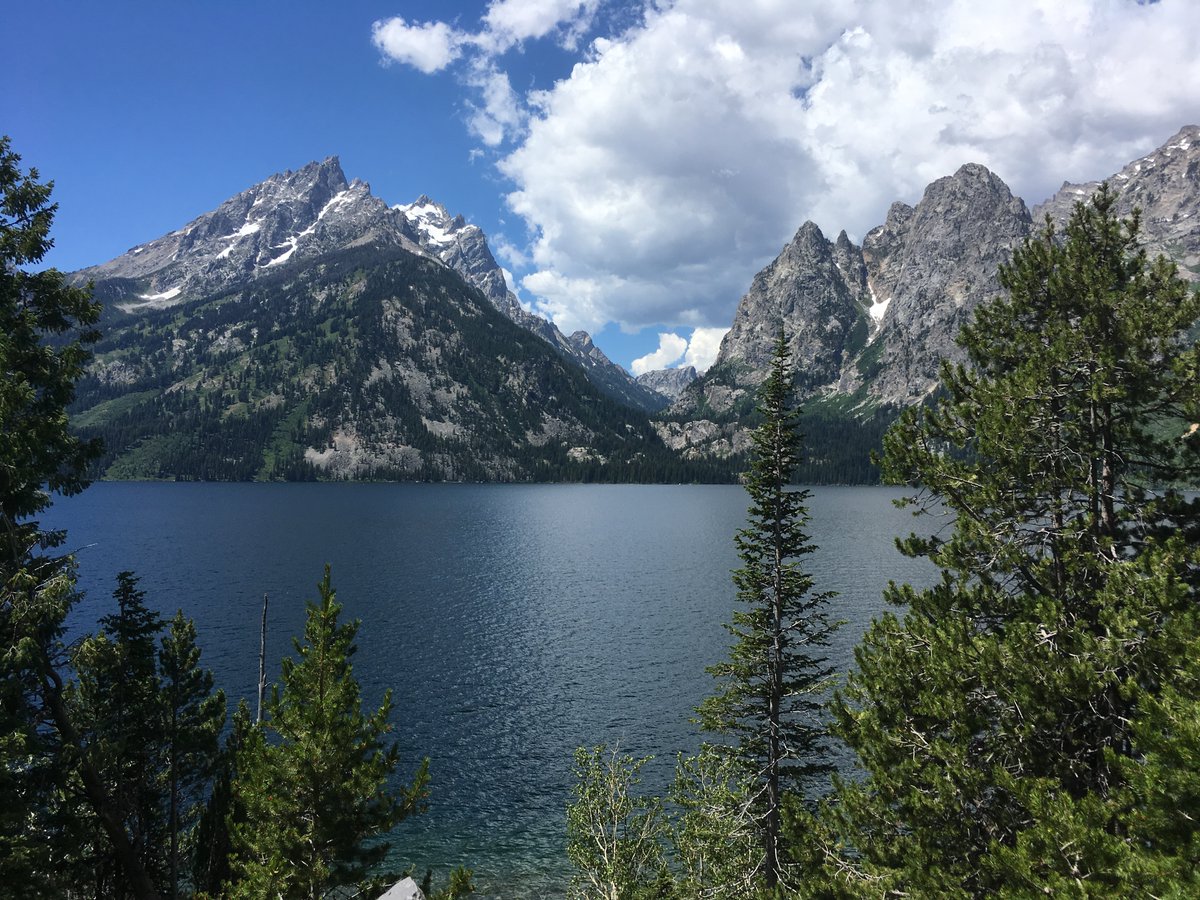 reneewellman1's tweet photo. For #EarthDay2020, here’s a picture of my trip to the Grand Tetons. Beautiful places are in danger from #climatechange and other human activities. We need to #ActOnClimate. That’s why I’m participating in #IowaVirtualEarthDay with @EnvironmentIowa https://t.co/3IYtcbnmLh