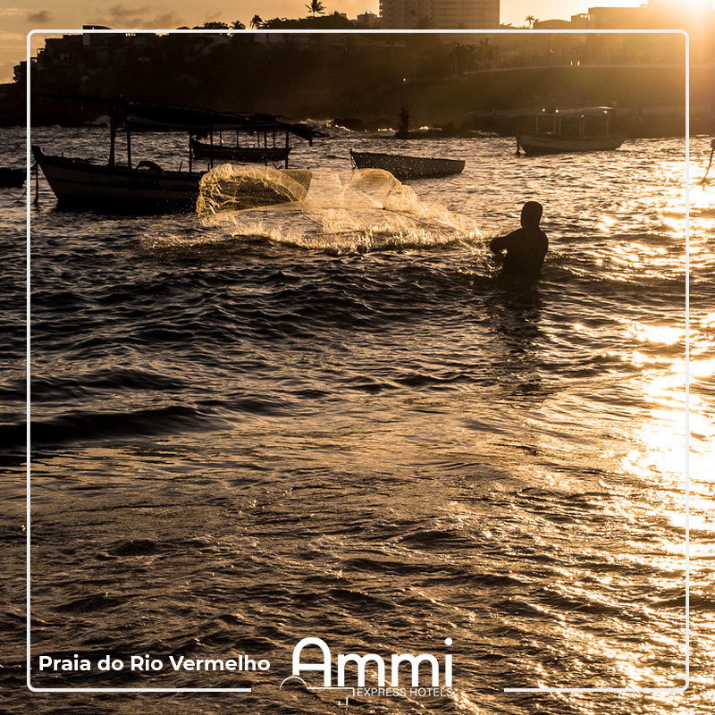 AmmiHotels's tweet photo. Quando tudo isso passar, estaremos aqui para recebê-lo(a), e você entenderá porque visitar a Bahia em qualquer estação do ano também é maravilhoso.

#HotelEmSalvador #AmmiExpress #Bahia #VisiteDepois https://t.co/7xmtb0ca3O