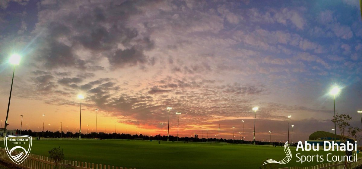 Kiwi John tweet media