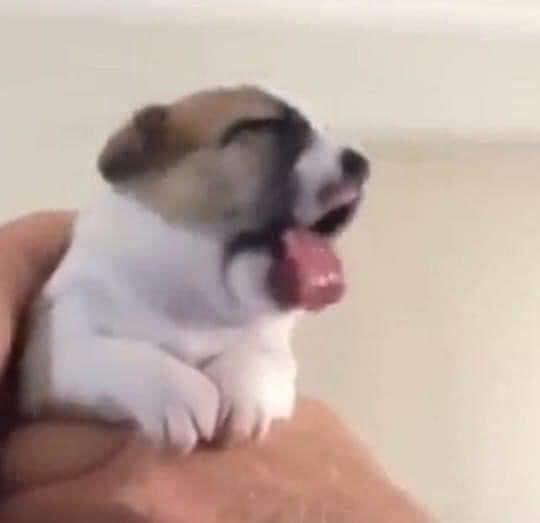 LomitoCuraDepre's tweet image. Cuando ves que te toca comer las enfrijoladas de Anahí.