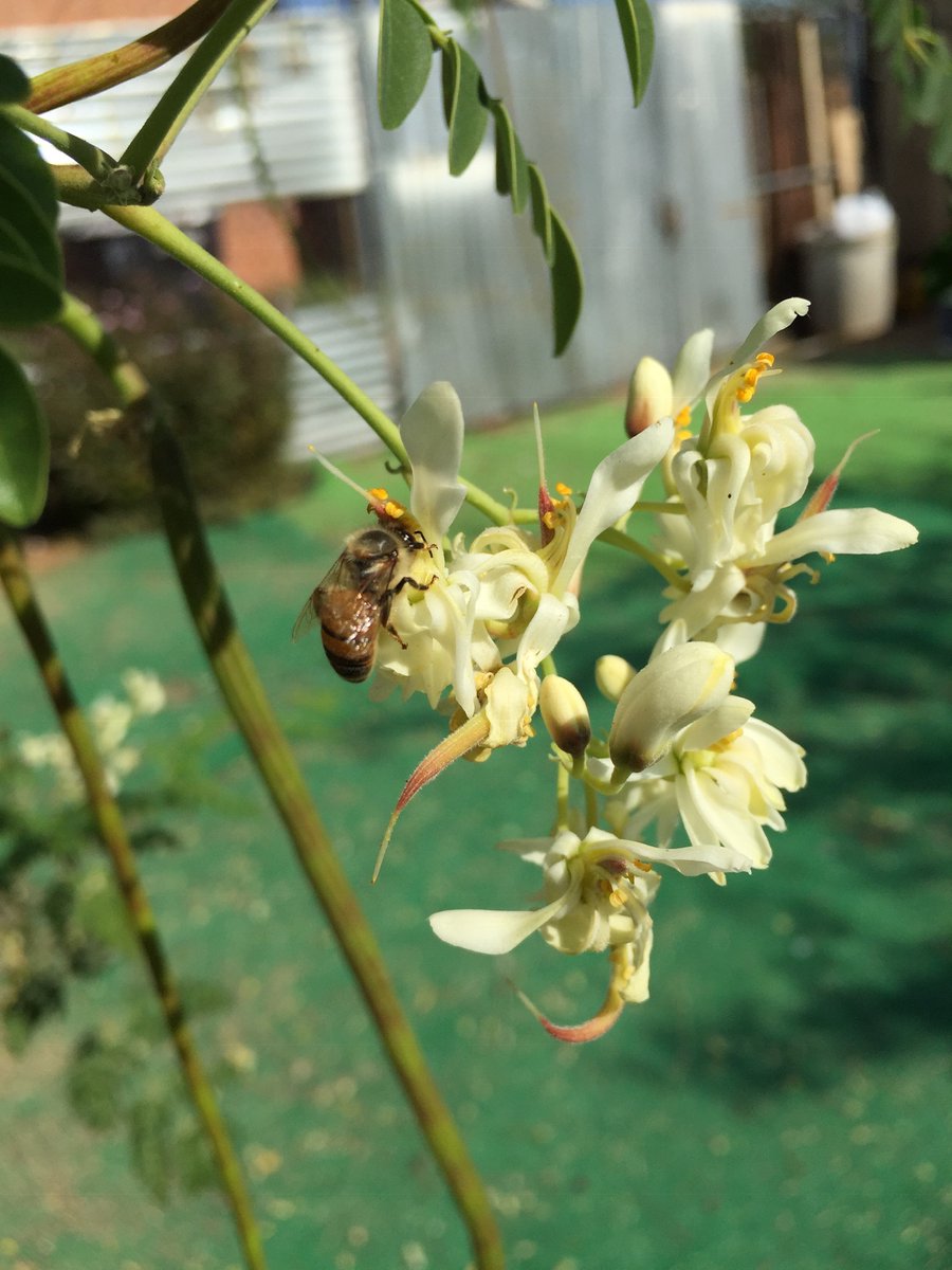 A thread: Mother Nature (add to this thread of your beautiful photos of Mother Nature)