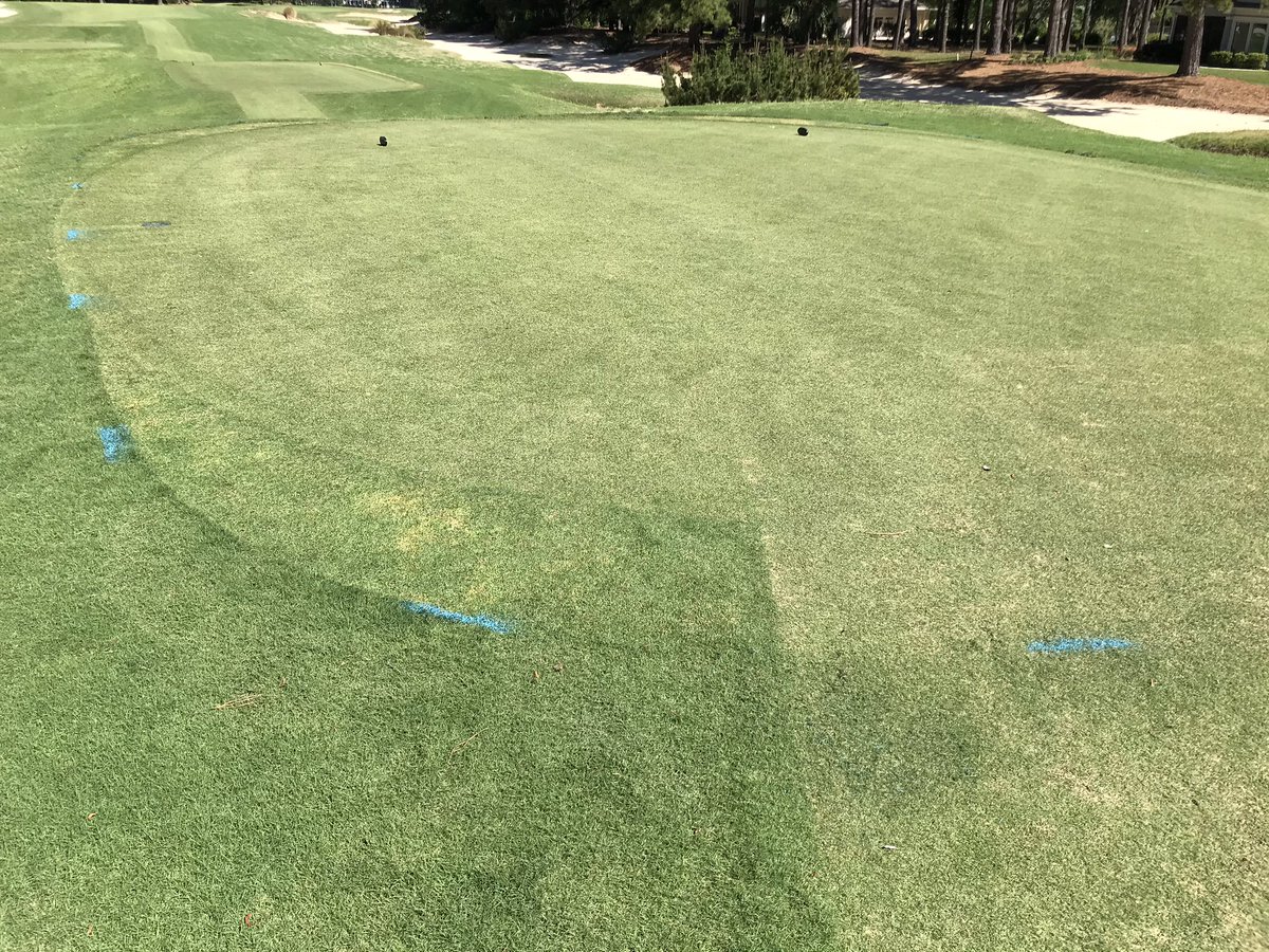 LeeDempster1's tweet photo. Over time, with a monostand of turf, the tees lose their shape and alignment. The blue lines indicate corrections to this. @BelfairAgronomy https://t.co/FYvZcU8ahl