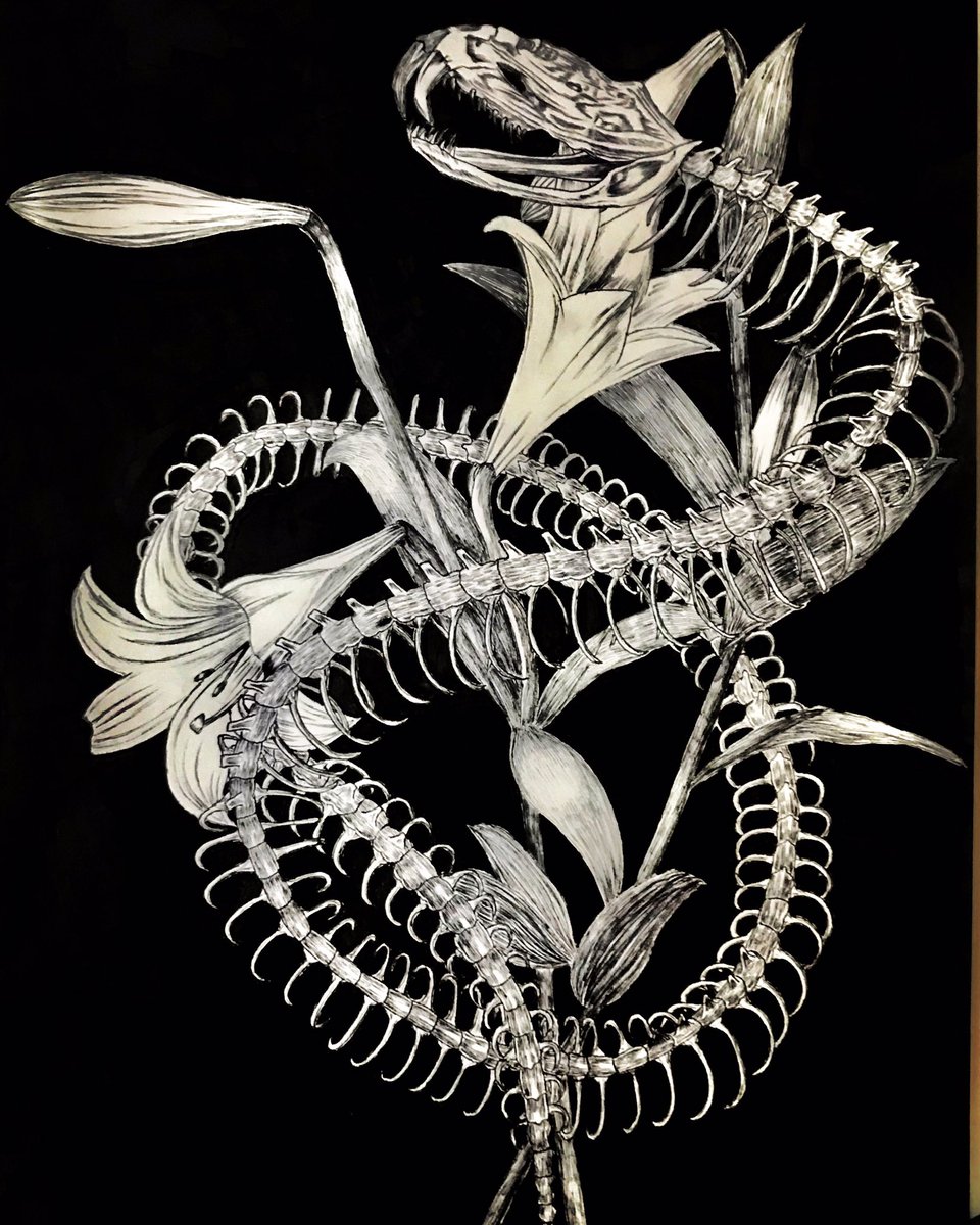 色鉛筆に手を出す前に描いてたボールペン画! 結構ボールペンで描いてる