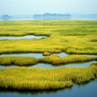 CSUMGMA's tweet photo. Restoring soil #carbon stocks could remove billions of tonnes of greenhouse gasses from the atmosphere annually. #ClimateEmergency #cleanfuture #sustainability #GHGmanagement https://t.co/Loa7t9b5dC https://t.co/derAgKsSxA