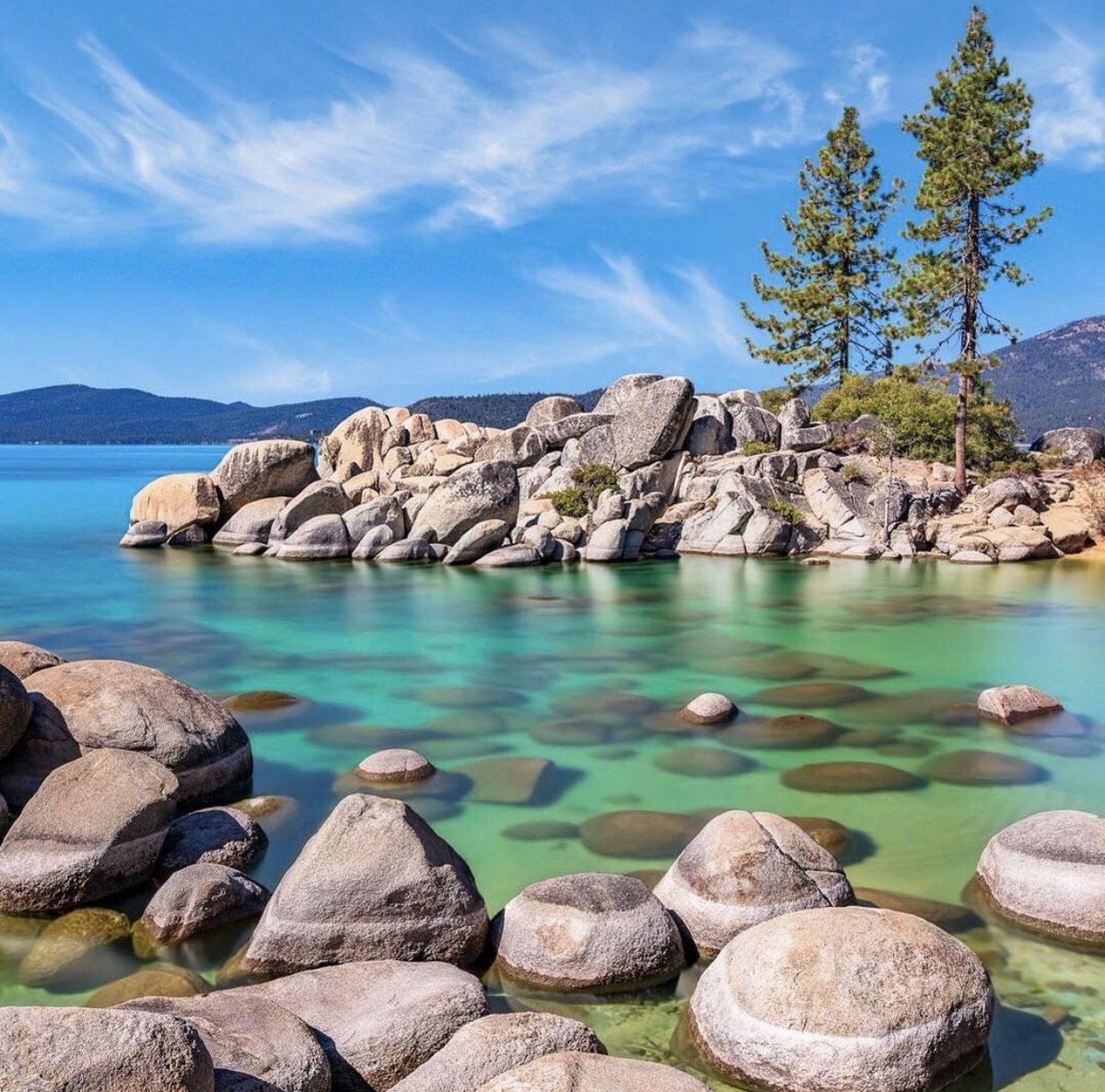 Happy Earth Day 💚🌎 #HotelZeppelin #ViceroyUrbanRetreats RP: @tomwagnerphotography (IG)