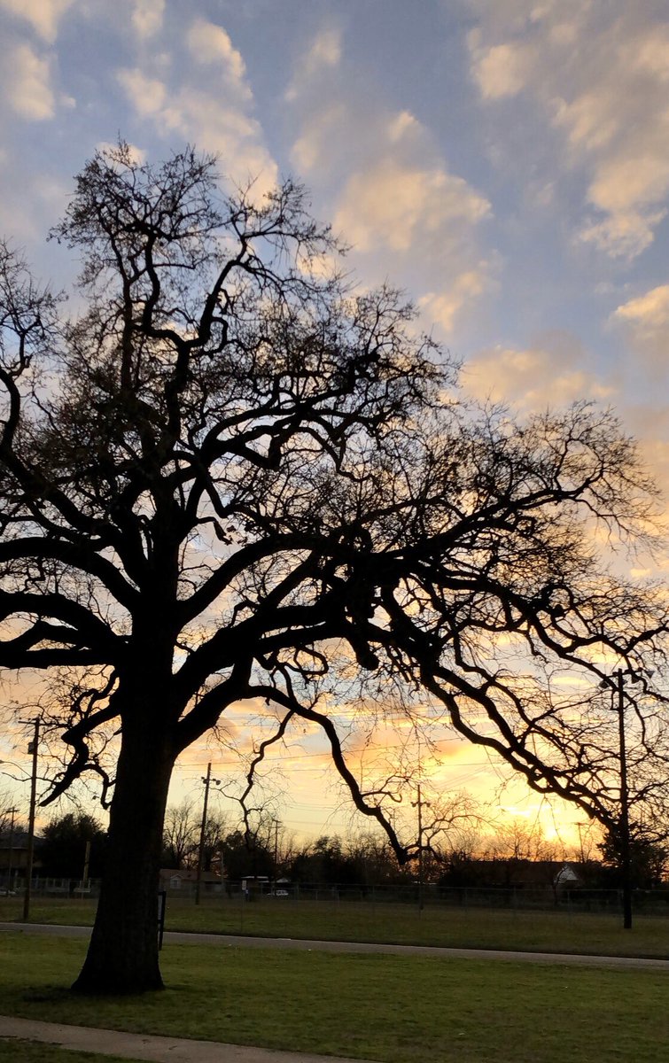 jarynwacker2's tweet photo. Happy Earth Day! 🌎 Let us love and cherish this precious Earth; it’s beauty a gift to us from God. https://t.co/QPM7lQLyMj
