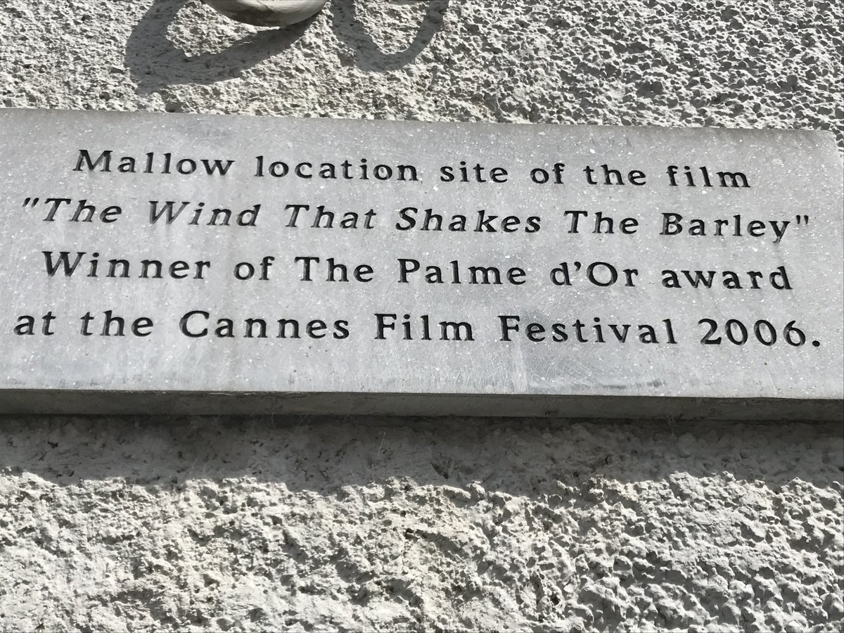 Laura Curtin (Lols) tweet media