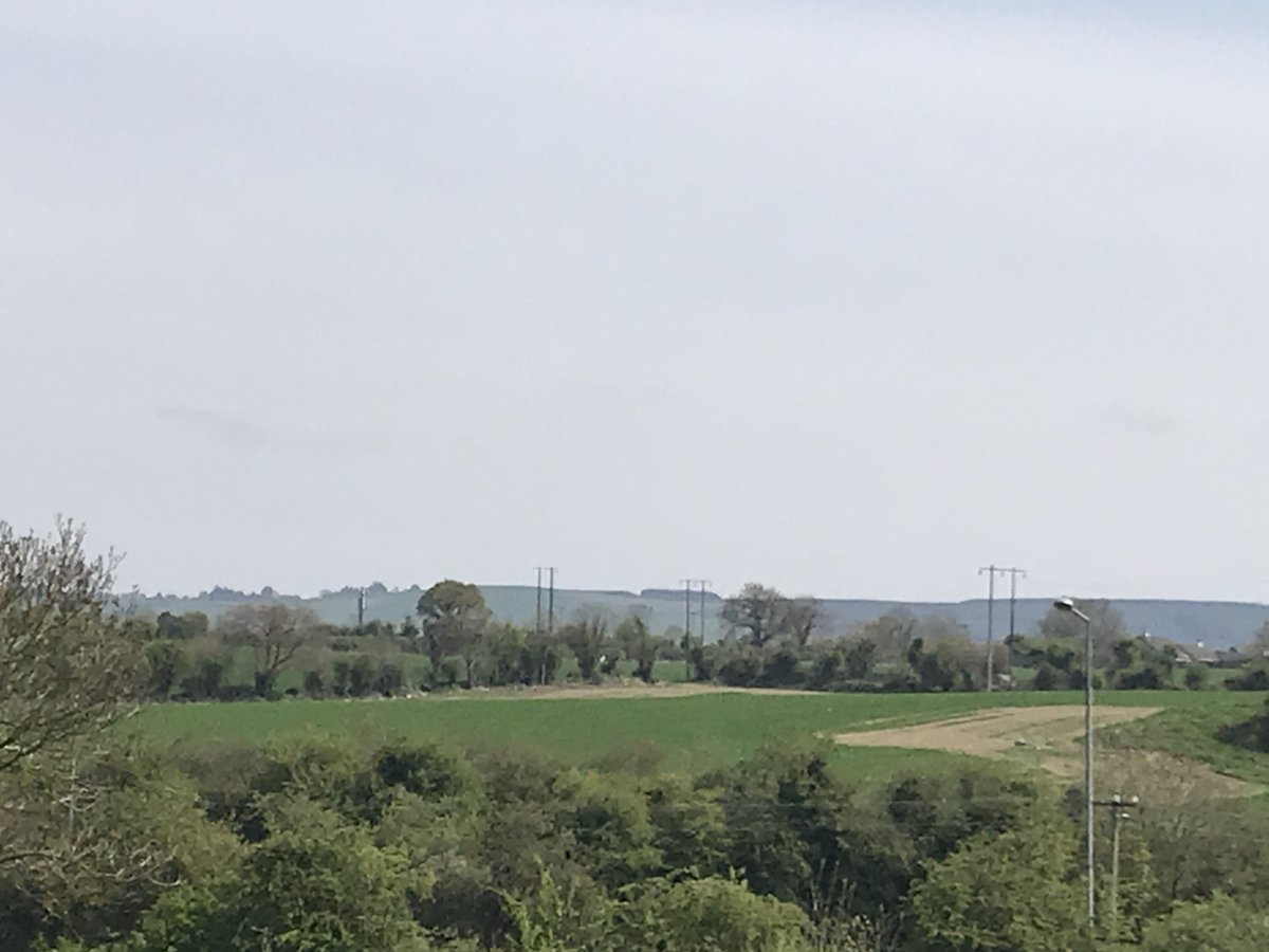 Laura Curtin (Lols) tweet media