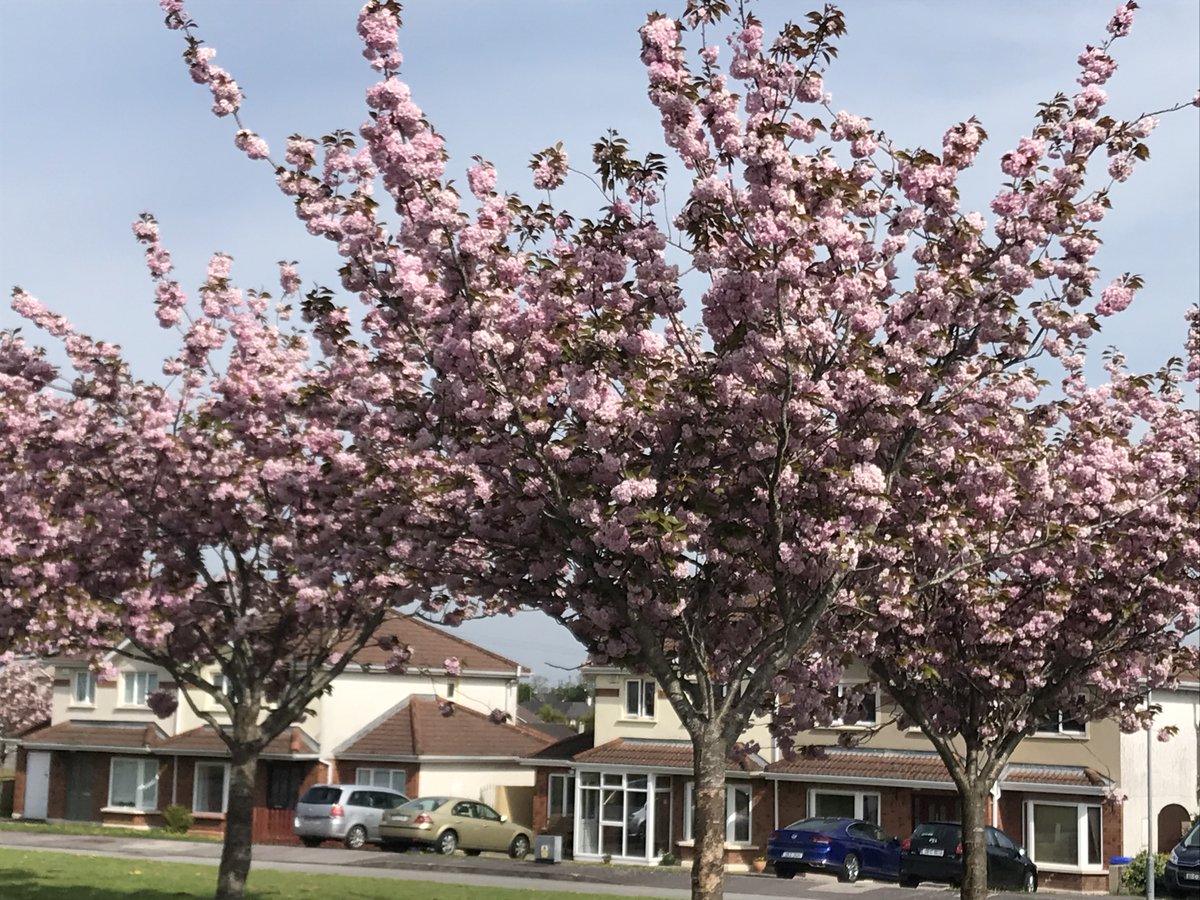 Laura Curtin (Lols) tweet media