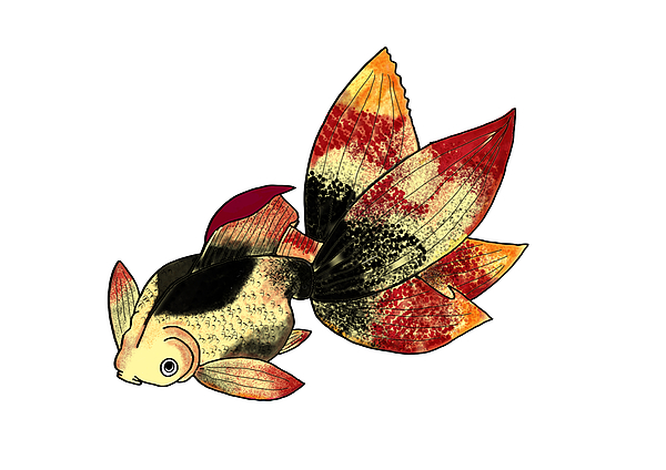 New artwork for sale! - 'Gold Fish oranda ' - fineartamerica.com/featured/gold-… @fineartamerica