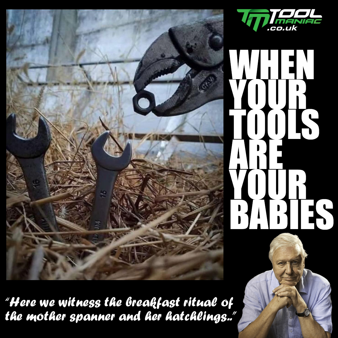 ToolManiacUK's tweet image. It&apos;s vital you feed, water and nurture your tools - just like in the wild 😂  

#ToolManiacUK #Toolhumour #Wera #WeraToolsUK #tools #toolmeme