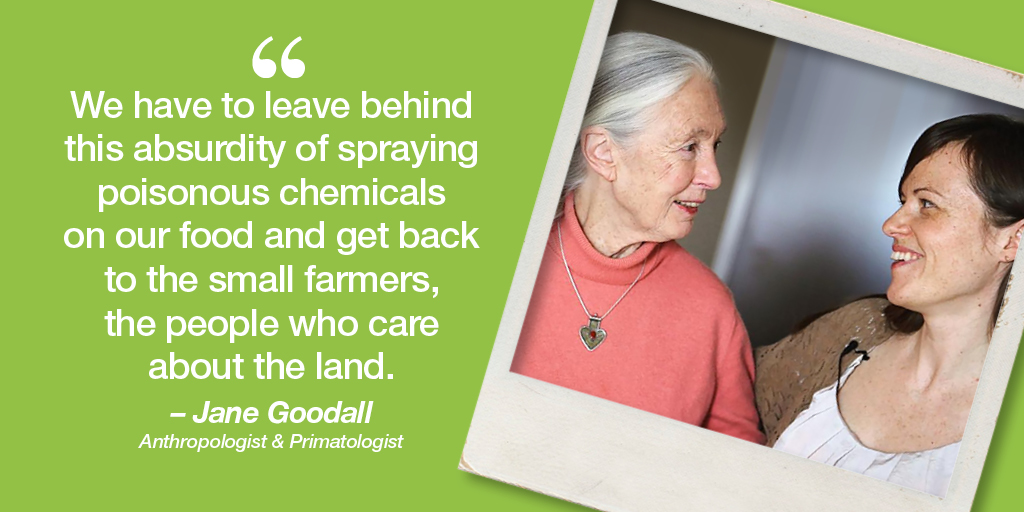 WomensVoiceMag's tweet image. Don’t forget to head to womensvoice.com/modified/ to watch Aube Giroux’s award-winning film Modified – A food lovers Journey Into GMO’s.

@Aubergineblog @NonGMOProject #freestream #EducateWhilstYouIsolate #educate #nongmo #earthday50athome #EarthDay2020 #Earthday50 #earthday #wvmag