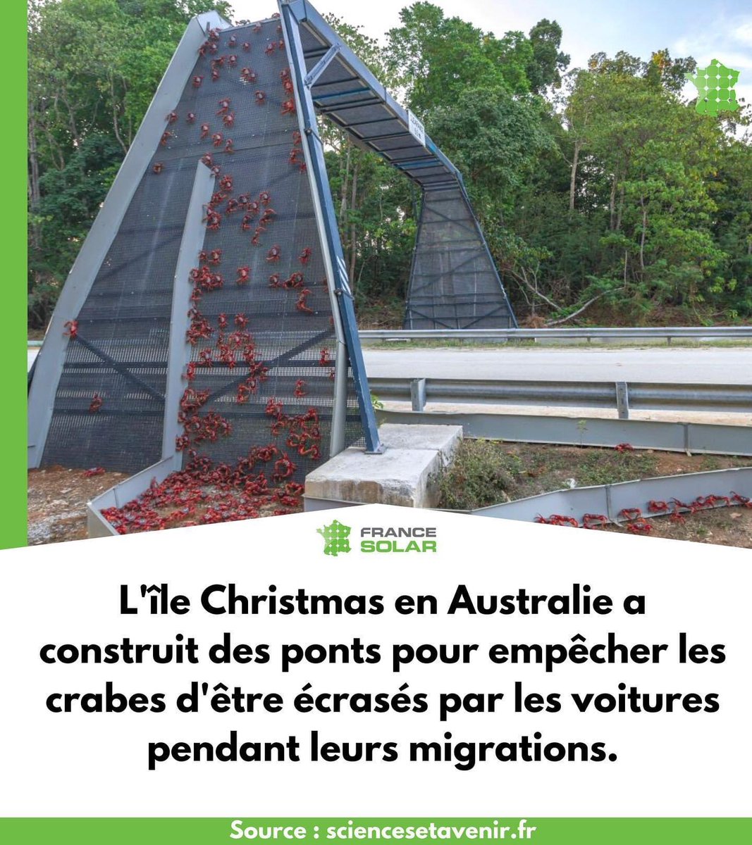 FranceSolar's tweet photo. On les appelle le plus souvent les passages fauniques🌿. Leur rôle ? Permettre aux animaux de franchir les voies de circulation en toute sécurité👍. Et ainsi assurer la continuité écologique entre les milieux naturels situés de part et d'autre🌏.
#Ecologie #Crabe https://t.co/oKqq5ytidr