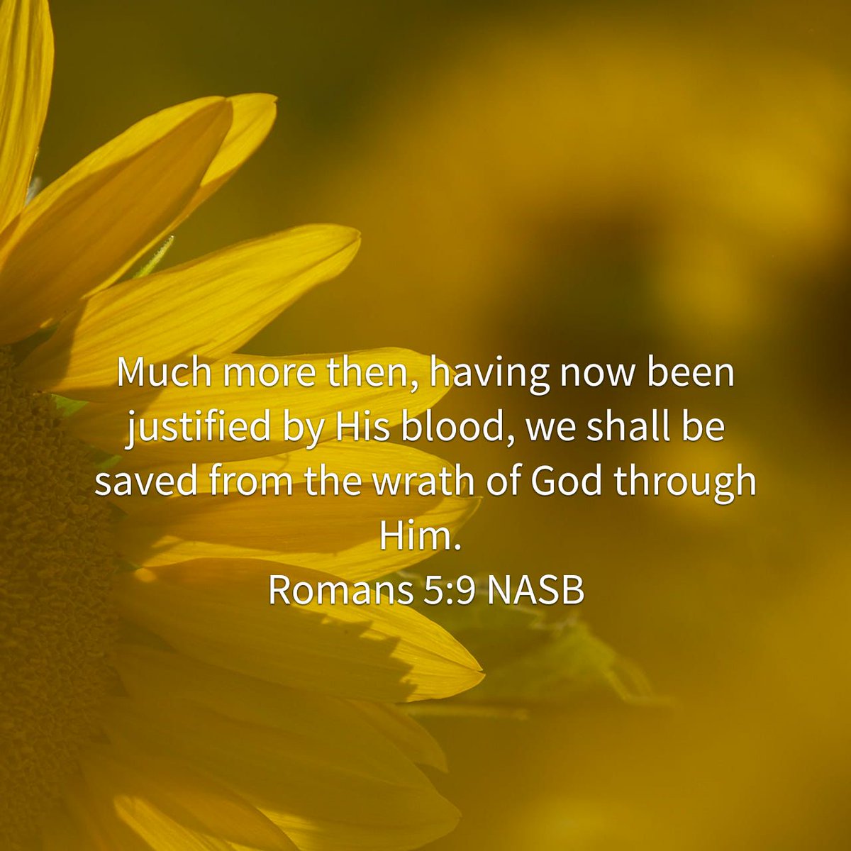 WordIntl's tweet image. (We are Justified)
Much more then, having now been justified by His blood, we shall be saved from the wrath of God th…
bible.com/bible/100/rom.…