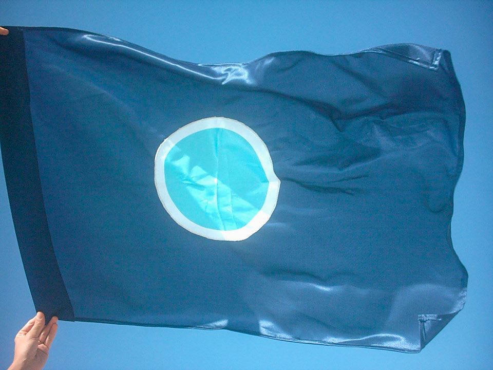 School_Feminism's tweet photo. #EarthDay 🌎🌍🌏
#WorldFlag designed by #AnneKirstineRønhede https://t.co/78Kd5Qy7RV