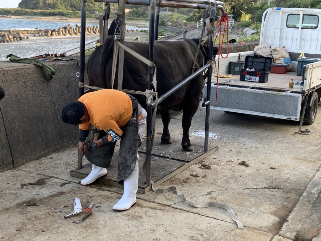 削蹄枠・治療枠（移動式）