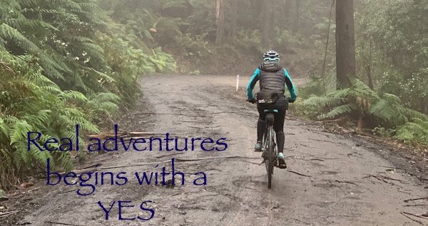 MelbourneBikeTC's tweet photo. Yarra State Park heading up to 7 Acre Rock https://t.co/xB7dvY4T3A