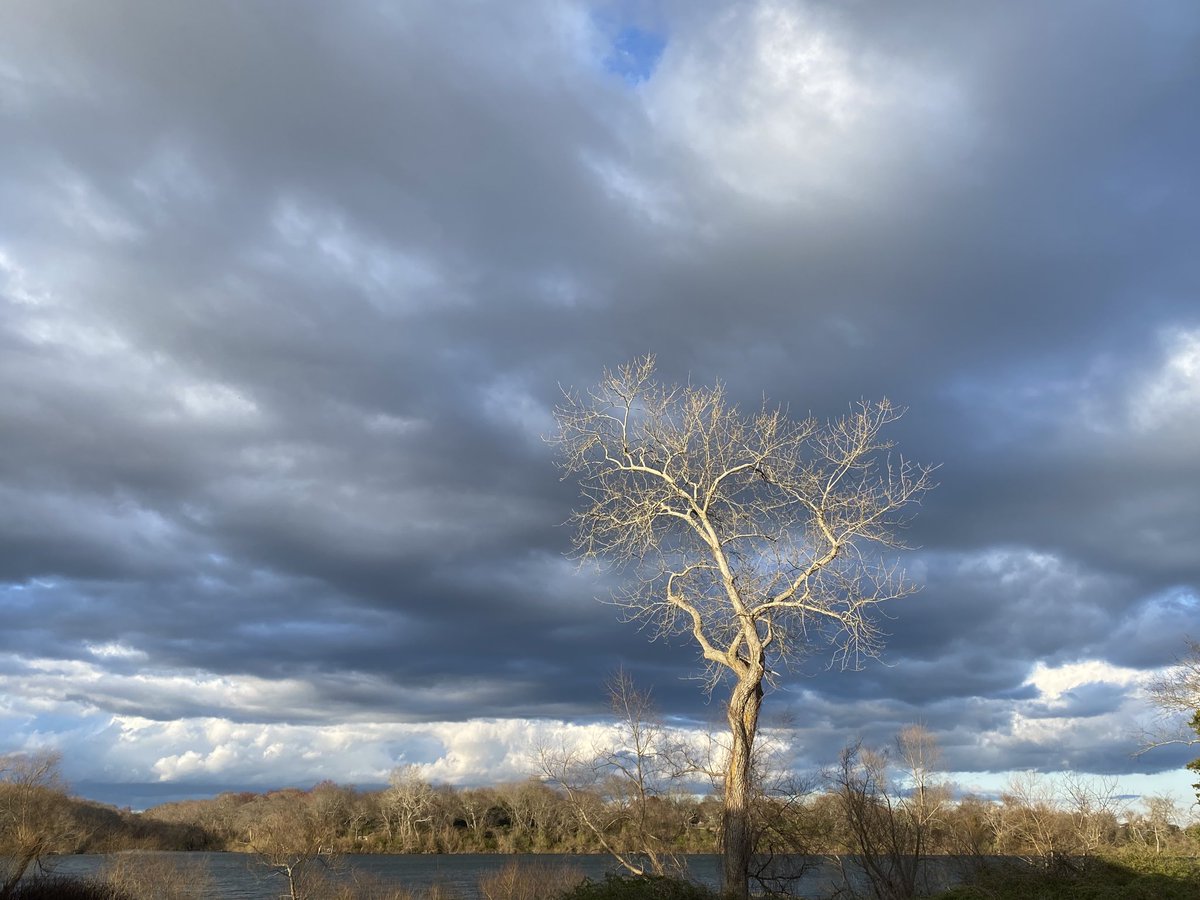 eleekelly's tweet photo. #EarthDay #EarthDay2020 #photography #nature #tree https://t.co/ulKRKdYyDd