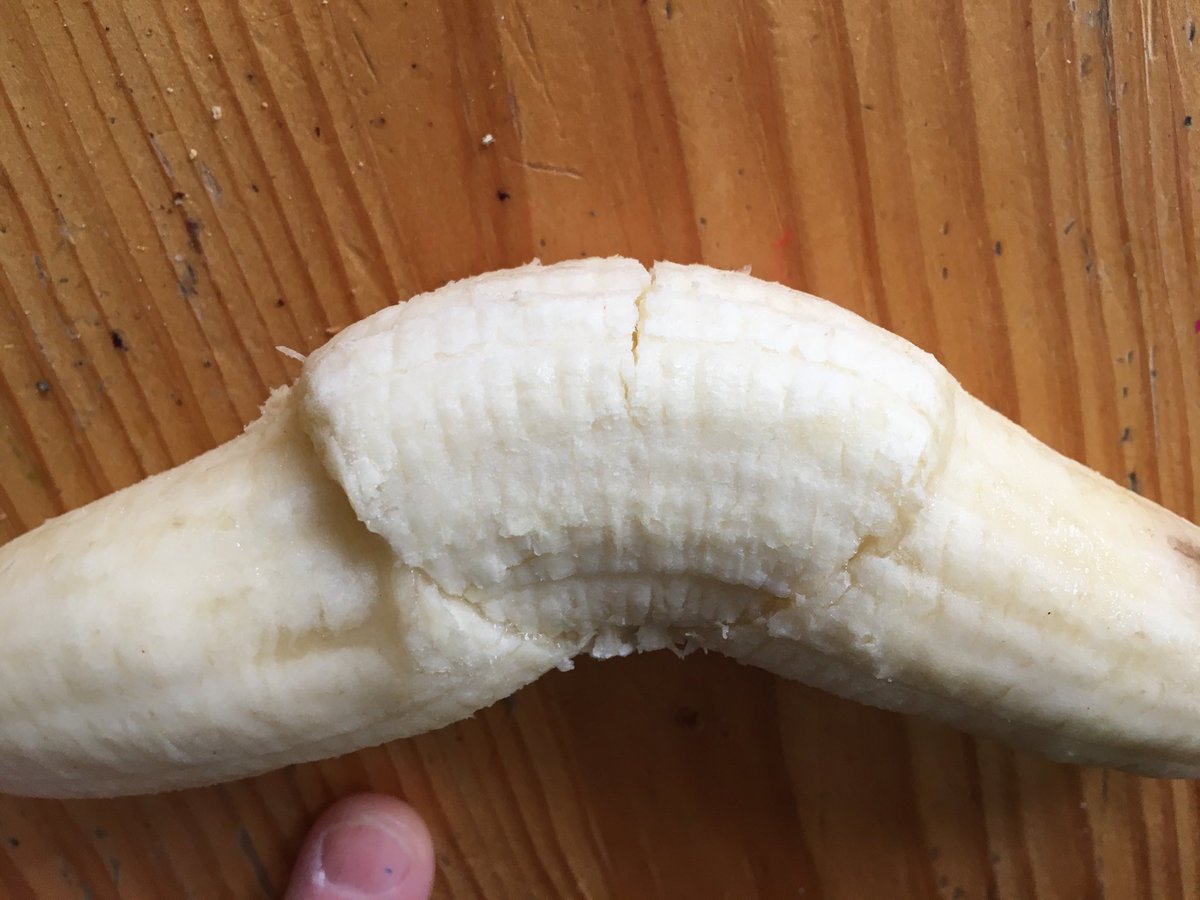 sandramcgeo's tweet photo. Possibly the first online, live analogue deformation experiment, using bananas, was a huge success! Check out these conjugate reverse faults (and a sneaky tension gash) #GEOL20002 ⁦@SciMelb⁩ #StructuralGeology #geology https://t.co/gbwXTroXm2