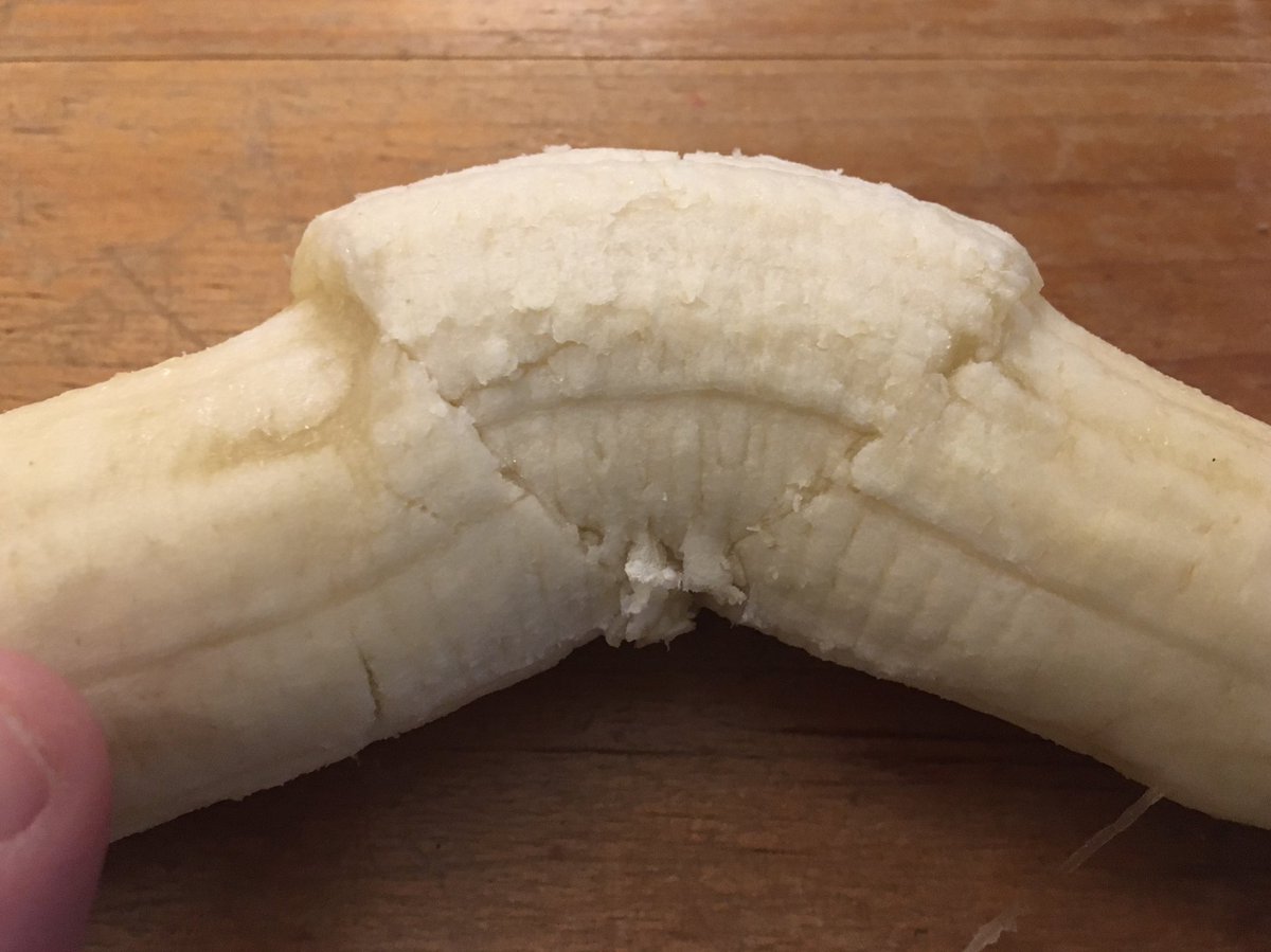 sandramcgeo's tweet photo. Possibly the first online, live analogue deformation experiment, using bananas, was a huge success! Check out these conjugate reverse faults (and a sneaky tension gash) #GEOL20002 ⁦@SciMelb⁩ #StructuralGeology #geology https://t.co/gbwXTroXm2
