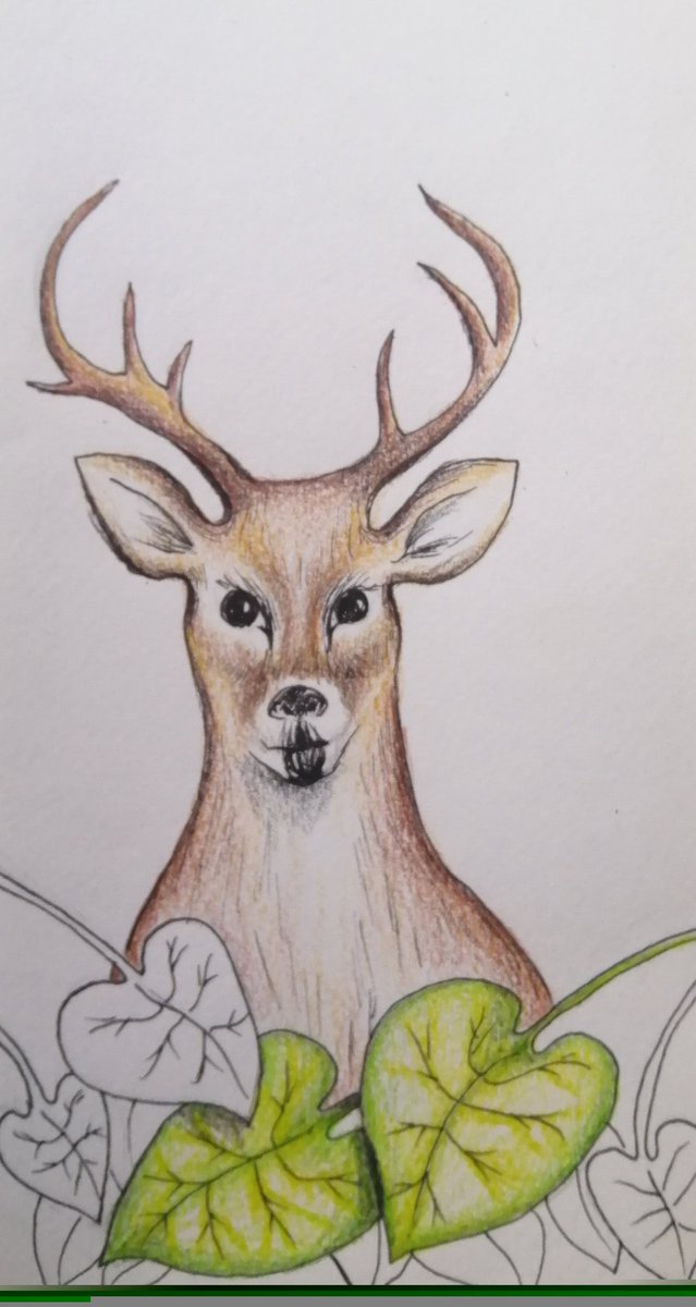 Leonard García <a href="/Leonardmusica/">LEONARD GARCÍA</a> cantante y compositor, como la voz del venado y sonidos de las aves del ambiente.