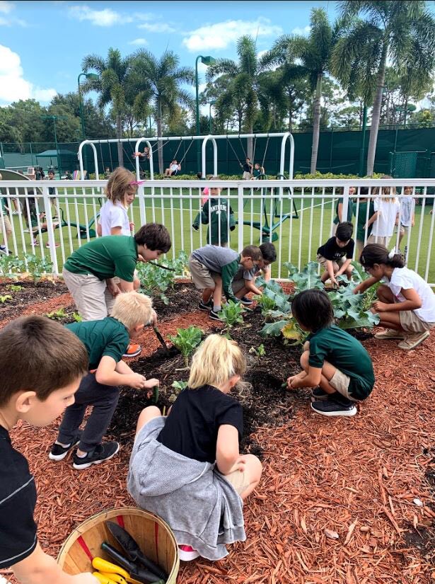PineCrestLower's tweet photo. In honor of Earth Day, we are proud to announce that the Pine Crest School Boca Raton campus has been recognized once again as a Green School of Excellence for the 2020 school year. #PCPantherPride #PCNuturing #PCCitizenship https://t.co/1Oc1SZEGxb