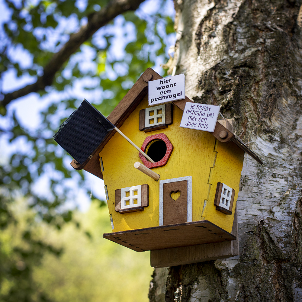 GroeneBuffer's tweet photo. Eigenaardige observatie in het Zennebeemdenbos vandaag.

#EarthDay #EarthDay2020 #2800Love #plopsaqua
#tinyprotest https://t.co/Jm70reiYny