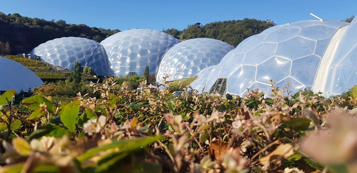 kaamayni's tweet photo. "The world is full of magic things, patiently waiting for our sense to grow sharper." WB Yeats

@edenproject can't wait to visit you again &amp; learn more on #environment + #ClimateAction! 💚🌎💫

#EarthDay
#earthdayeveryday #bettertomorrow #EnvironmentAmbassadors https://t.co/BRWvRezGA5