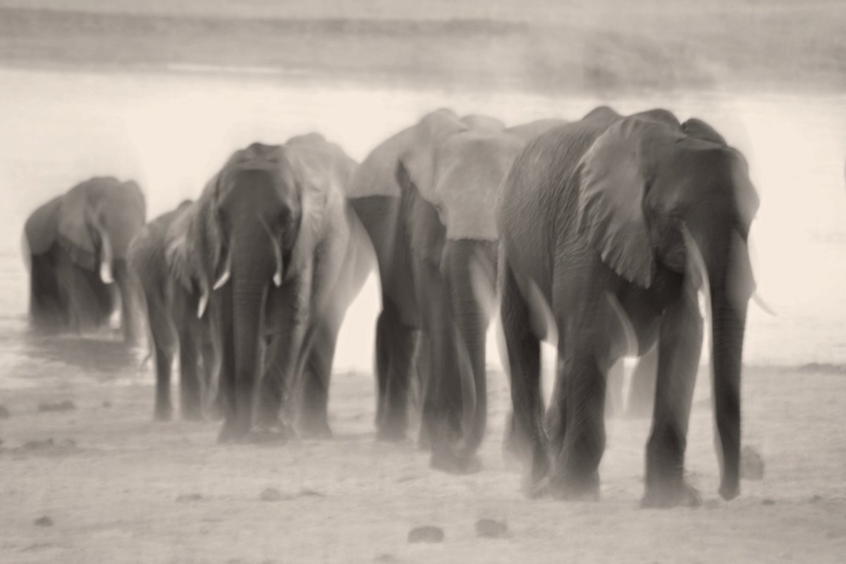 Happy Earth Day! #EarthDay earthday.org