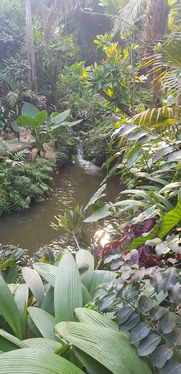 kaamayni's tweet photo. "The world is full of magic things, patiently waiting for our sense to grow sharper." WB Yeats

@edenproject can't wait to visit you again &amp; learn more on #environment + #ClimateAction! 💚🌎💫

#EarthDay
#earthdayeveryday #bettertomorrow #EnvironmentAmbassadors https://t.co/BRWvRezGA5