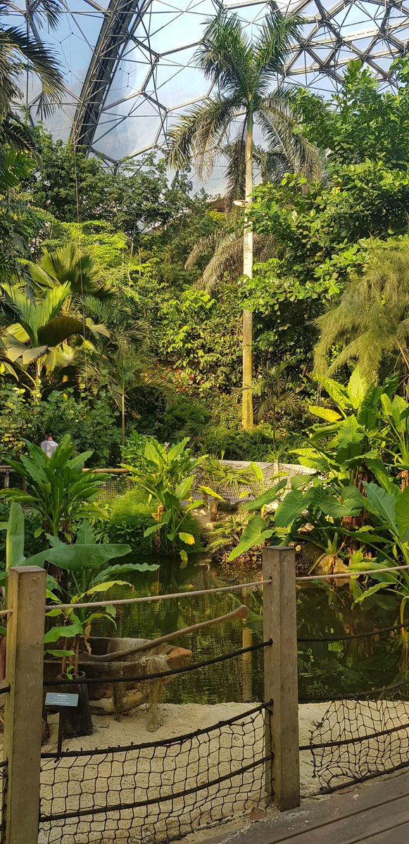 kaamayni's tweet photo. "The world is full of magic things, patiently waiting for our sense to grow sharper." WB Yeats

@edenproject can't wait to visit you again &amp; learn more on #environment + #ClimateAction! 💚🌎💫

#EarthDay
#earthdayeveryday #bettertomorrow #EnvironmentAmbassadors https://t.co/BRWvRezGA5