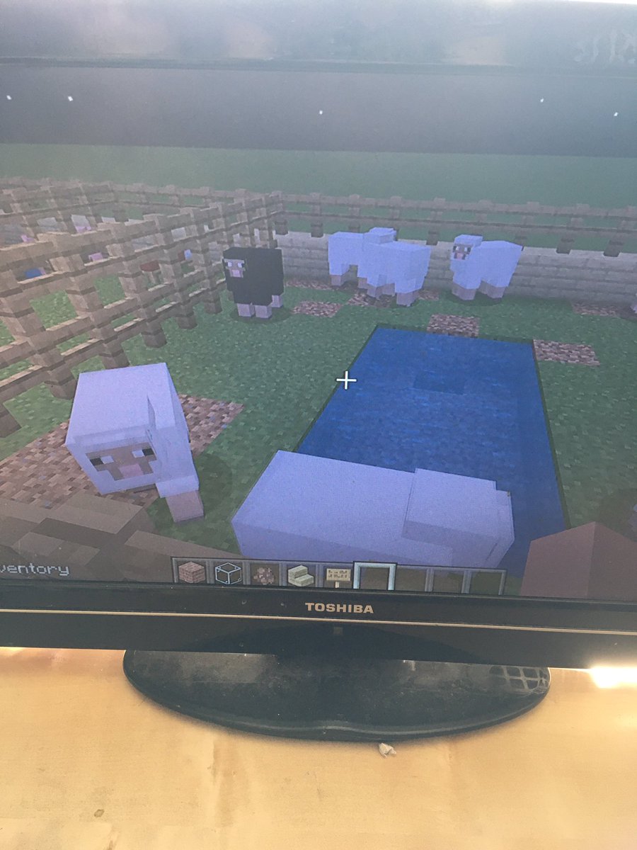 Sarah Woodward tweet media