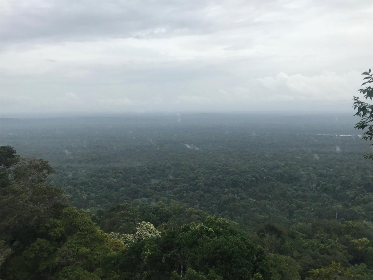 Carbon-Water Dynamics (@water_carbon) on Twitter photo <a href="/NorouziSevda/">Sevda Norouzi</a> works on understanding and quantifying water-atmosphere CO2 exchange as a key process in the #CarbonCycle and its impact on future climate. She studies tropical #rainforests - the Earth's 'lungs'. <a href="/IwokramaGuyana/">Iwokrama River Lodge</a> <a href="/NorouziSevda/">Sevda Norouzi</a> works on understanding and quantifying water-atmosphere CO2 exchange as a key process in the #CarbonCycle and its impact on future climate. She studies tropical #rainforests - the Earth's 'lungs'. <a href="/IwokramaGuyana/">Iwokrama River Lodge</a>
