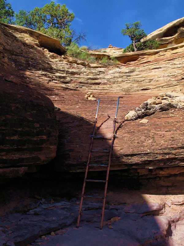 AndiFerguson1's tweet photo. #PhotoOfTheDay. It's #NationalParkWeek so this memory trip is going to my favorite one -- #CanyonlandsNP where the trails are always a fun challenge and the views are beyond spectacular. 
#confluencetrail #synclineloop #cheslerpark #hiking https://t.co/j8iv1QCoT3