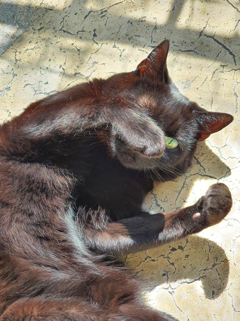 I spy with my little eye