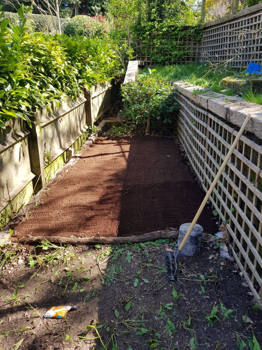 Made this bed and have planted a butternut swuash in there to test. will likely grow it vertocally on a trellis becahse there isn't a lot of sunlight down here. Need to cut back trees and hedges also.