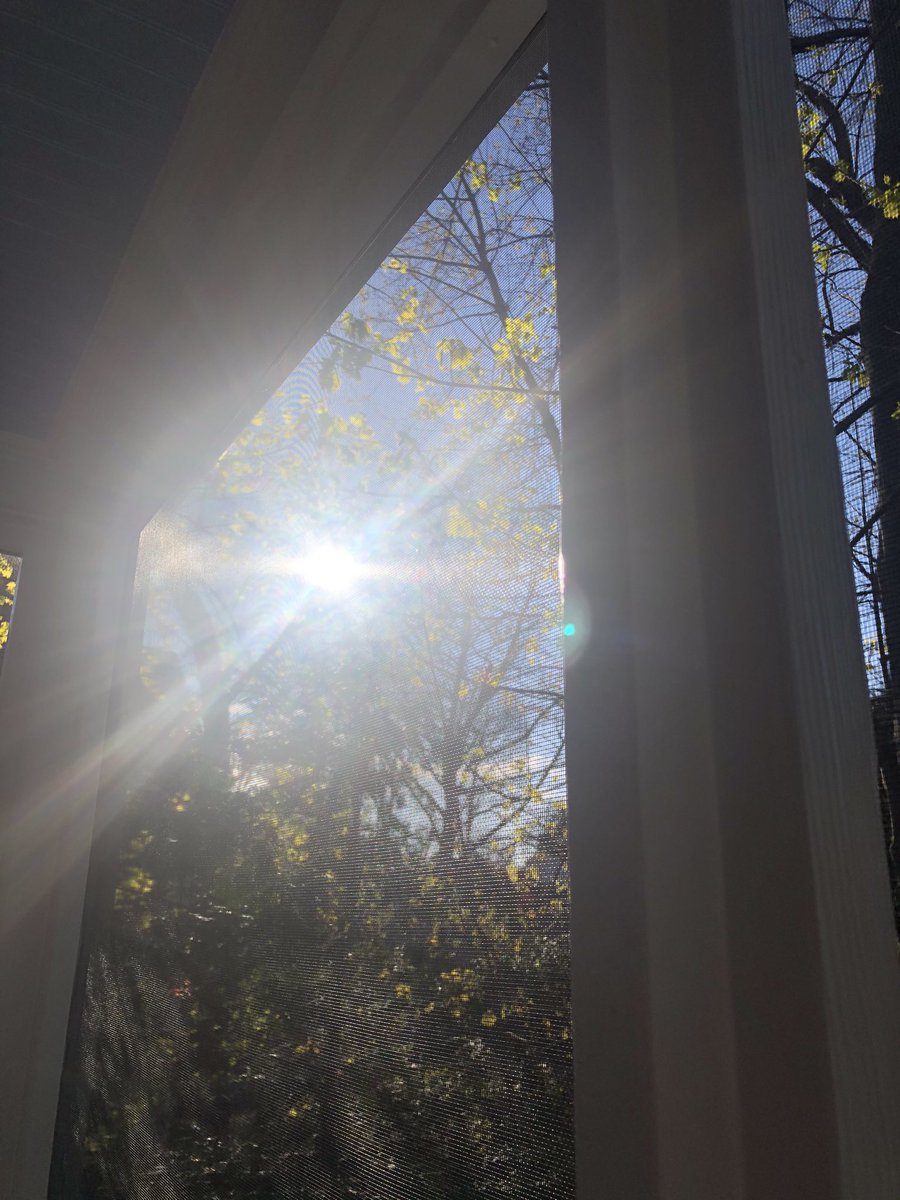 KJoseph_writer's tweet photo. #7photosofmylife #StayHomeSaveLives #InMyEar #Youarethesunshineofmylife #viewfromtheporch #home #virtualoffice #earthlove Day 4/7 I Challenge @JocelynDeMaio https://t.co/tXtUuVASuG