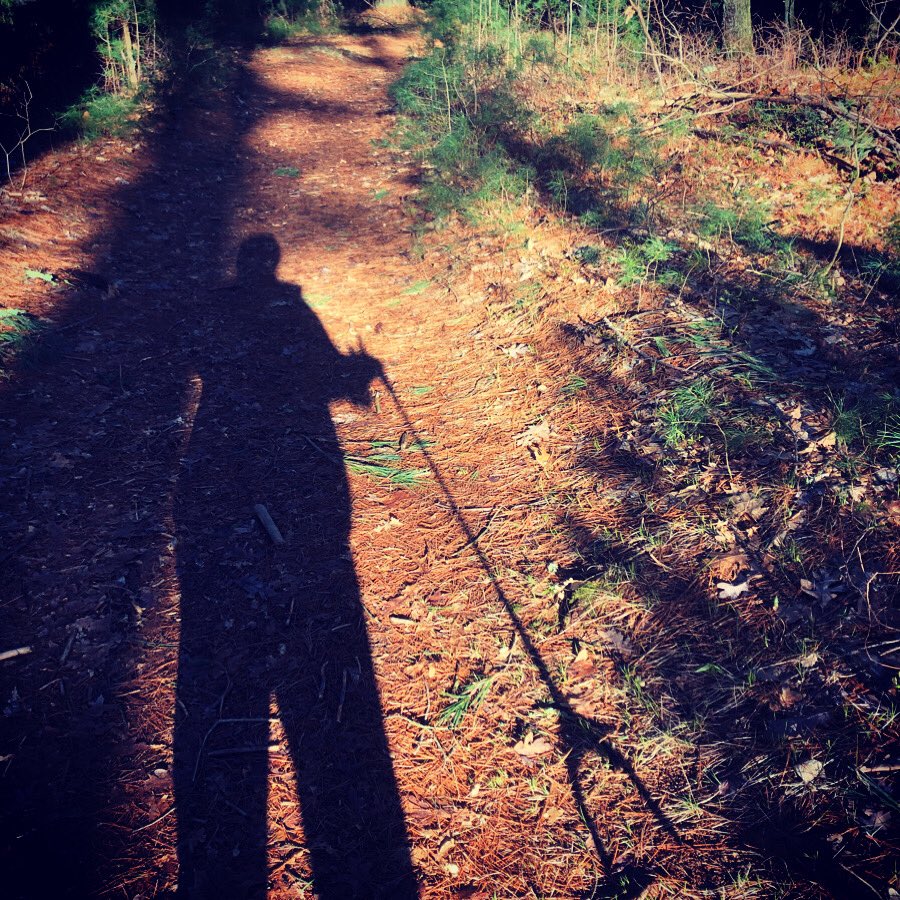 andreagal's tweet photo. Honoring Mother Earth #EarthDay2020 #Litterpick #forestlover #just1bag2020 🌱🌲🌍💗 https://t.co/lseUKUPbhR
