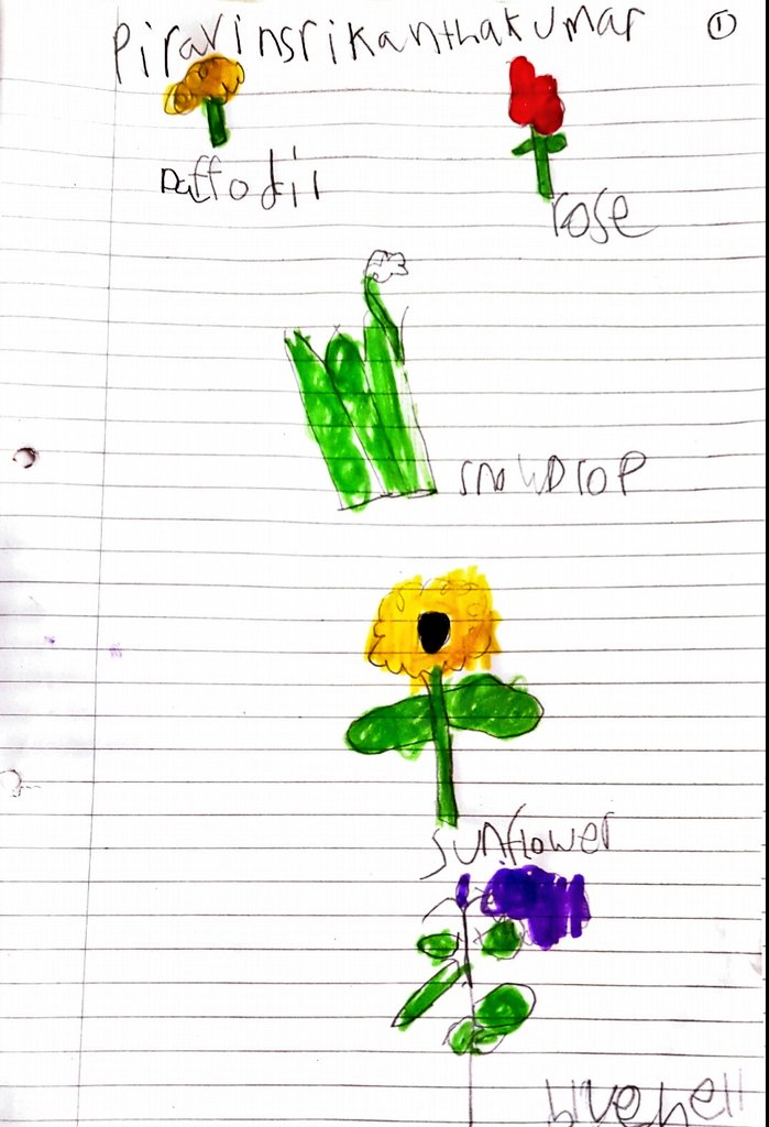 MrsShahLHS's tweet photo. More learning fun! I am so excited to see all the wonderful learning that you'll be doing in this new Summer term Year 1. I hope you are all staying well and healthy 😁🌱🌞 #Year1HomeLearning @HeadLHS @LHS_Watford https://t.co/1iFAStikbq