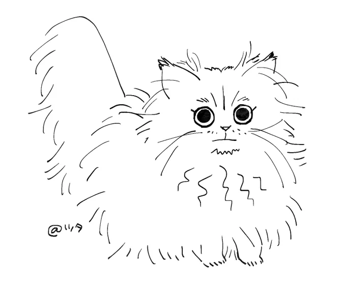 今度は自分のイメージを頼りに描いてみた こっちの方が似ている 