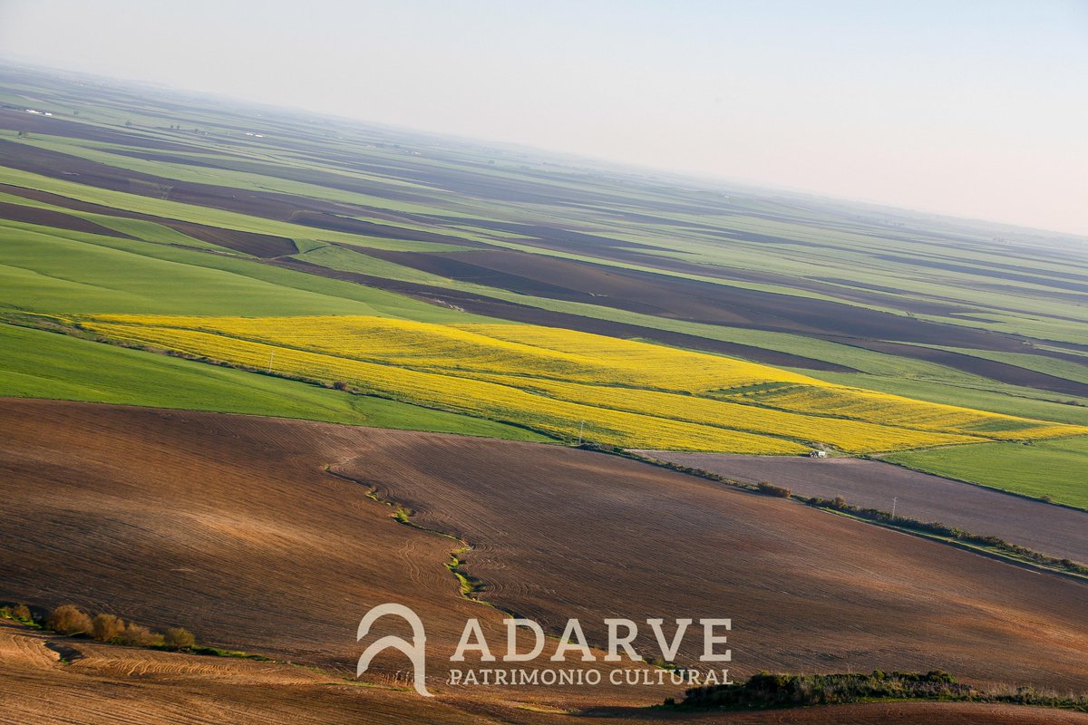 AdarveCultural's tweet photo. Feliz Día Mundial de la Madre Tierra #DiaDeLaTierra #conadarve #carmona https://t.co/HYdiuGB9Zt