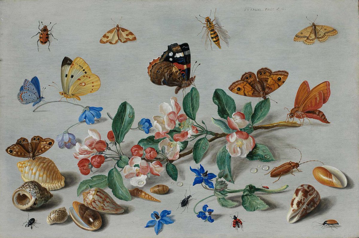 #EarthDay2020 #EarthDay 

These jewel-like paintings are executed on copper plates, which enabled an extremely high degree of finish &amp; accuracy. In most cases the individual species can be easily identified.🦋🦗

Jan van Kessel I (Flemish, 1626-1679) Butterflies and other insects