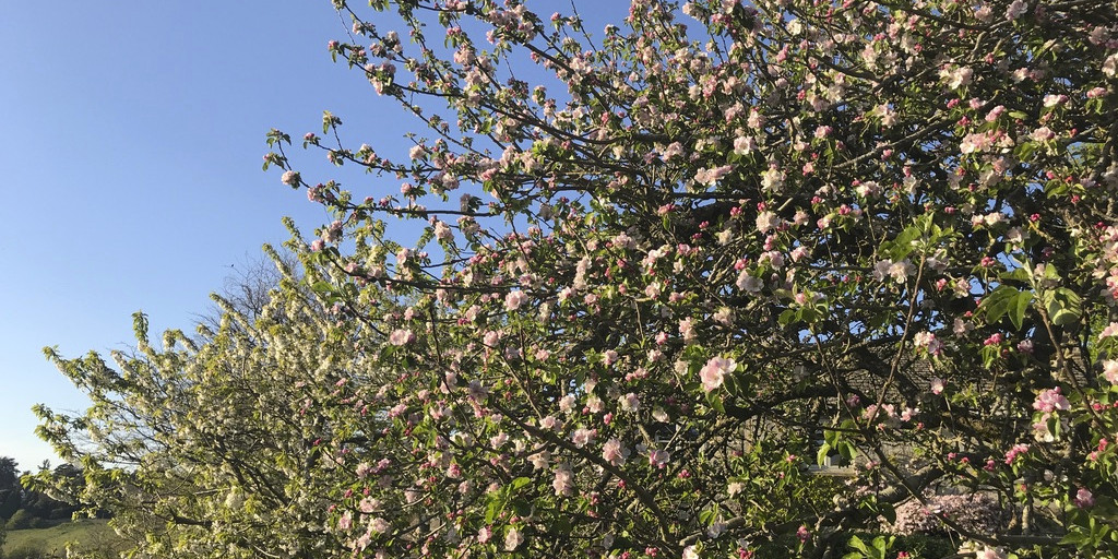 Soap Folk tweet media