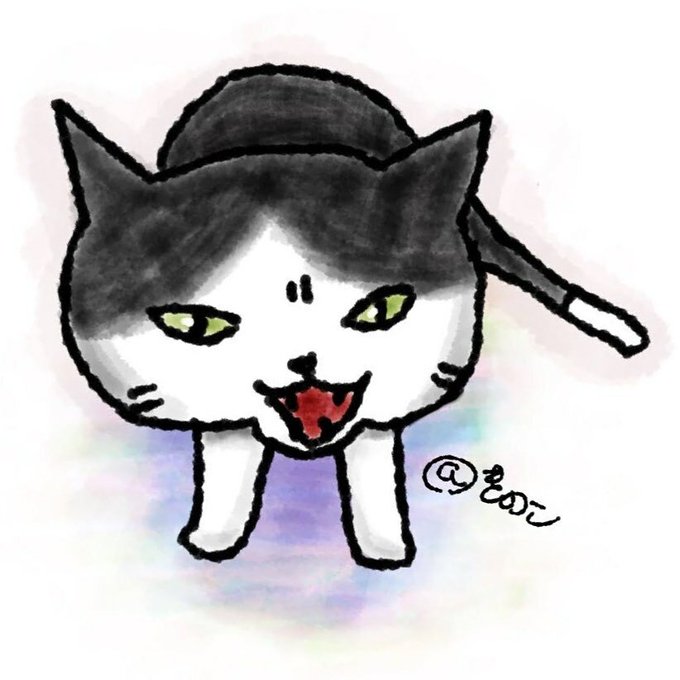 怒ってる猫のtwitterイラスト検索結果